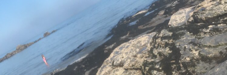 mariciarose's profile banner image
