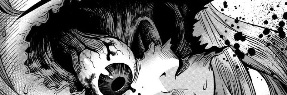 Hykatari's profile banner image