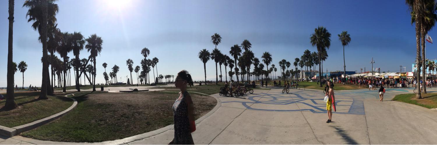 Fallon Scorpio banner