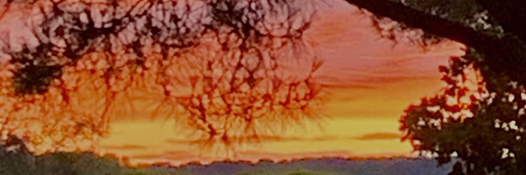 lemailaurent's profile banner image