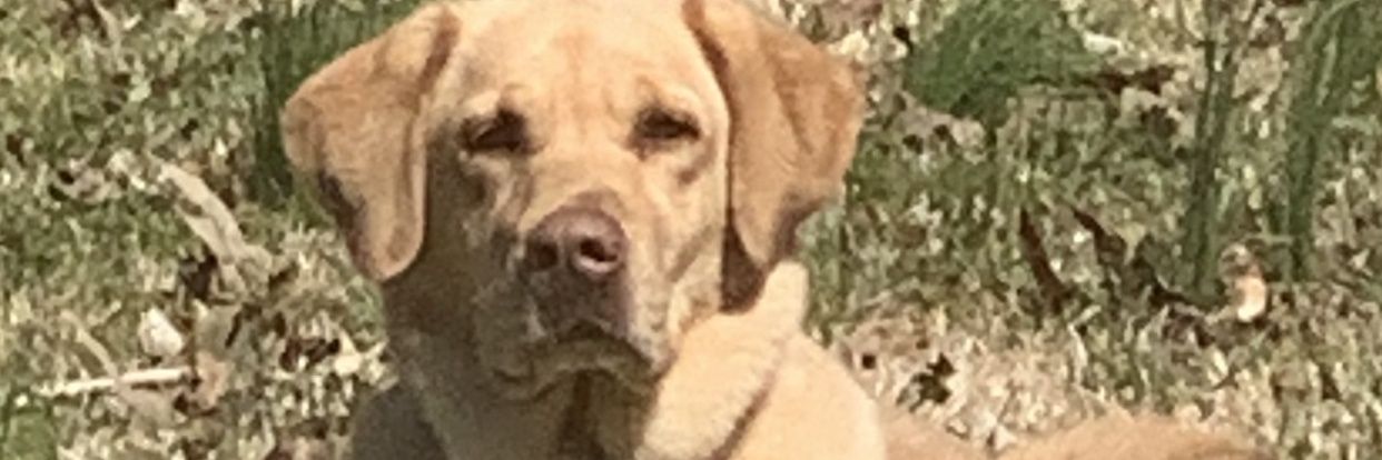 Mghant12's profile banner image