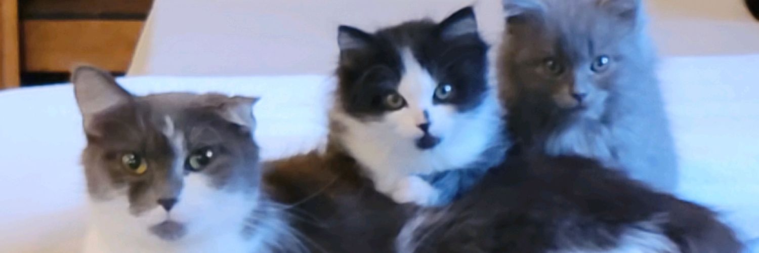 putchie17's profile banner image