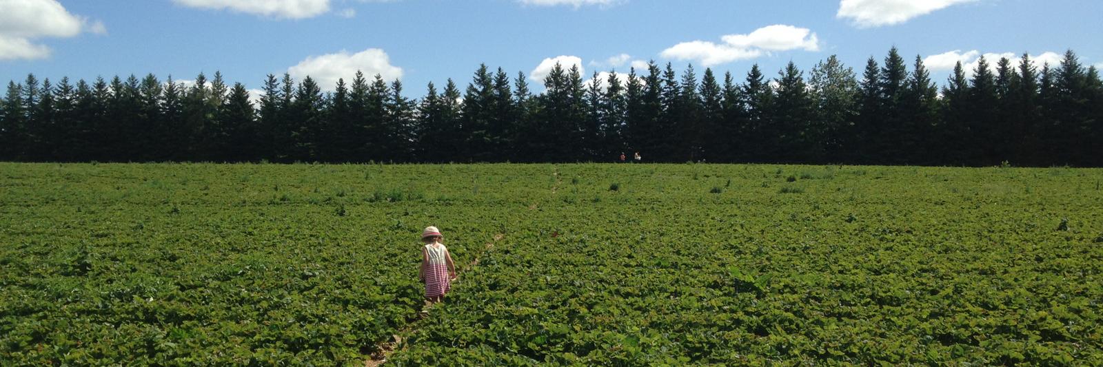 Sprouting Balance banner