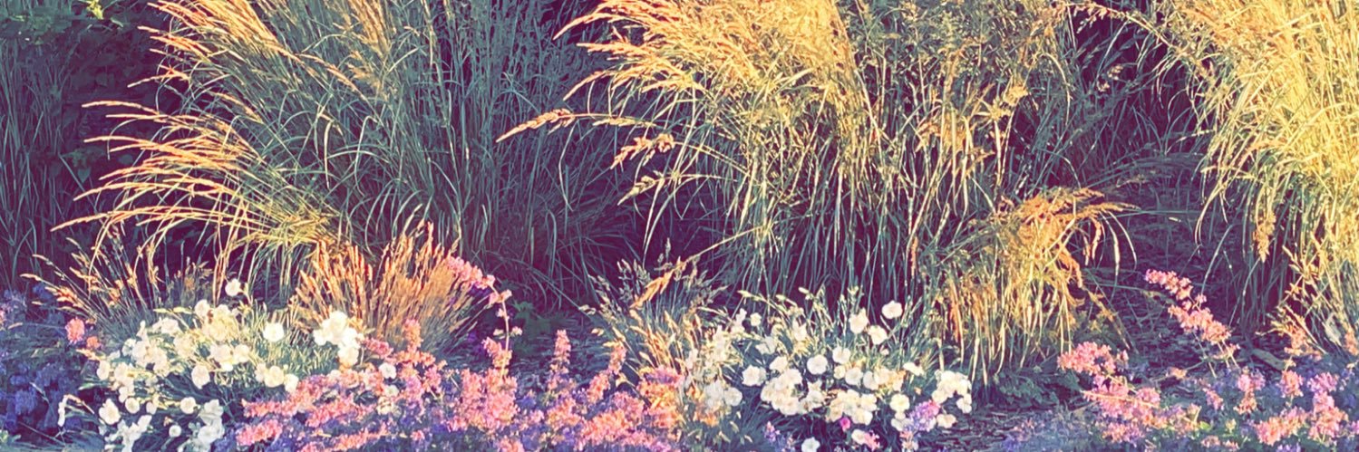 Emtenan Meer || امتنان مير banner