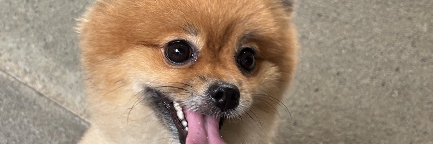 VoyagePurple's profile banner image
