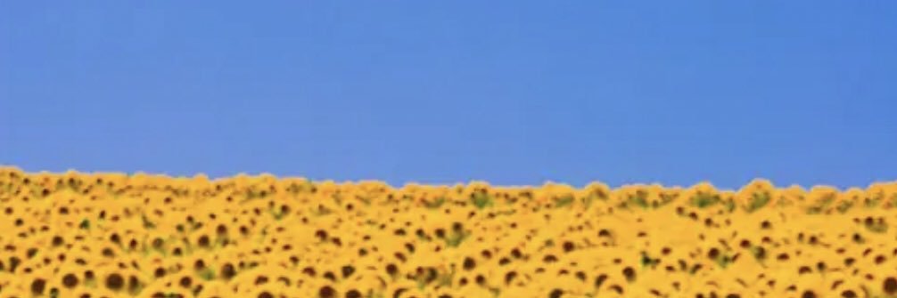 RiddleBrady's profile banner image