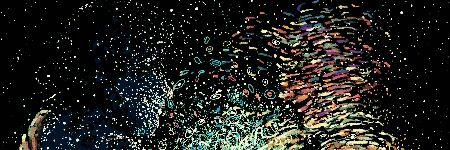 jamalchoto's profile banner image