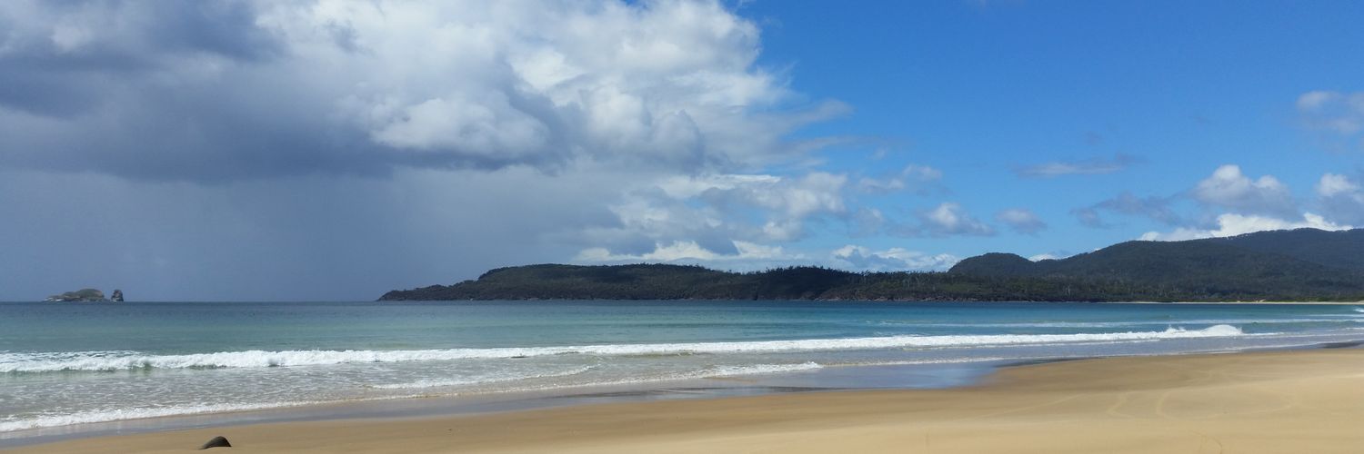 WendyWindle1's profile banner image