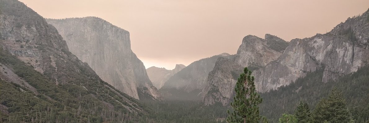 Michael Rawlings banner