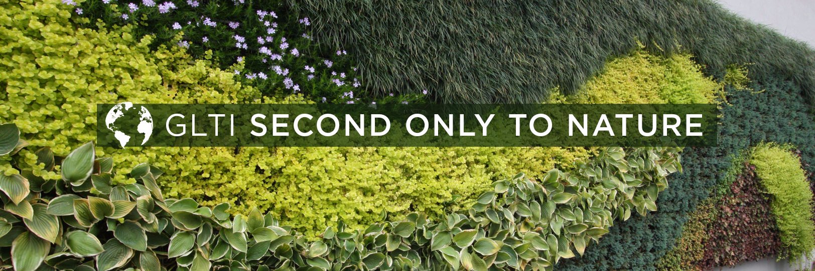 GreenLivingTech's profile banner image