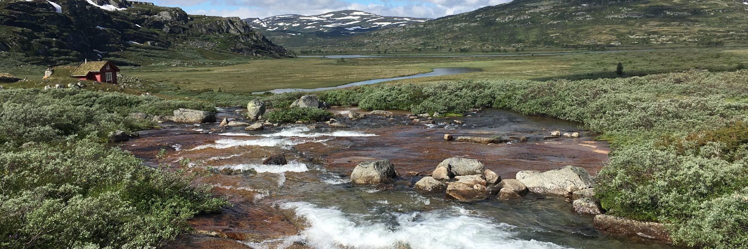 Scot McFarlane banner