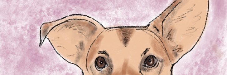 Taylor Dortman banner