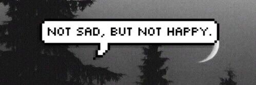 sunshxnex's profile banner image