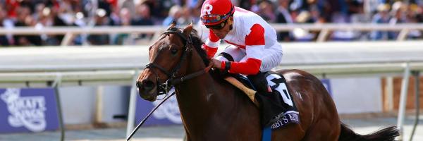 UrbnHandicapper Profile Banner