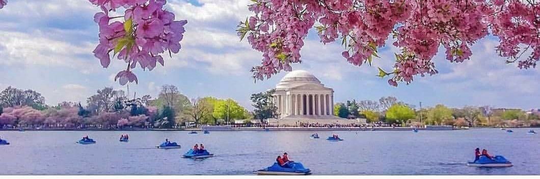 Katia Mahone 🎾 banner