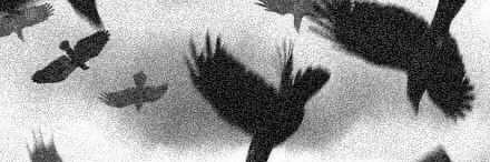nneverinvain's profile banner image