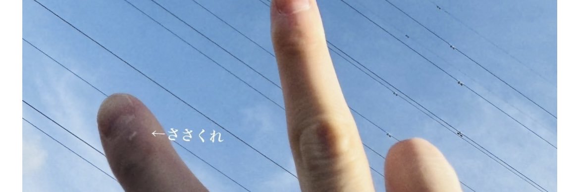 kaito_mapichu's profile banner image