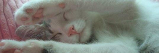 iK33z's profile banner image