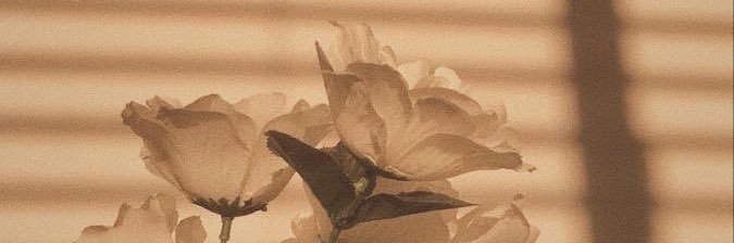 lmgenriquez's profile banner image