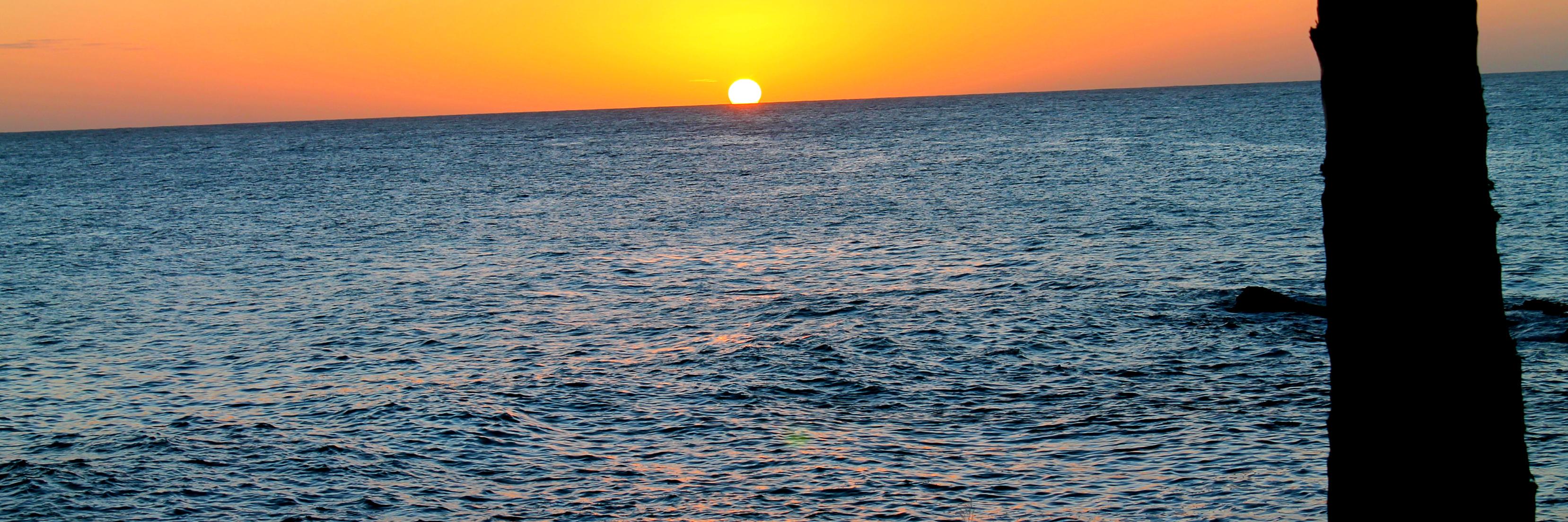 marcndani's profile banner image