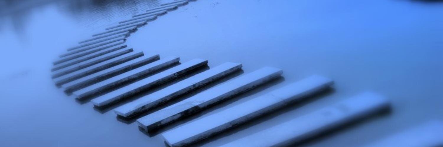 Goedele Van der Spiegel banner