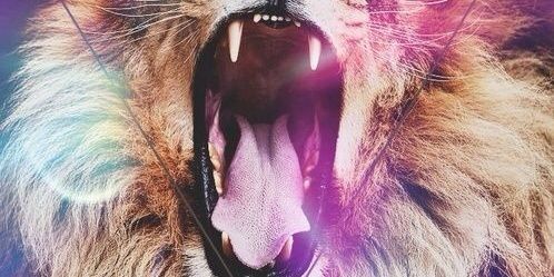 marcusabney91's profile banner image