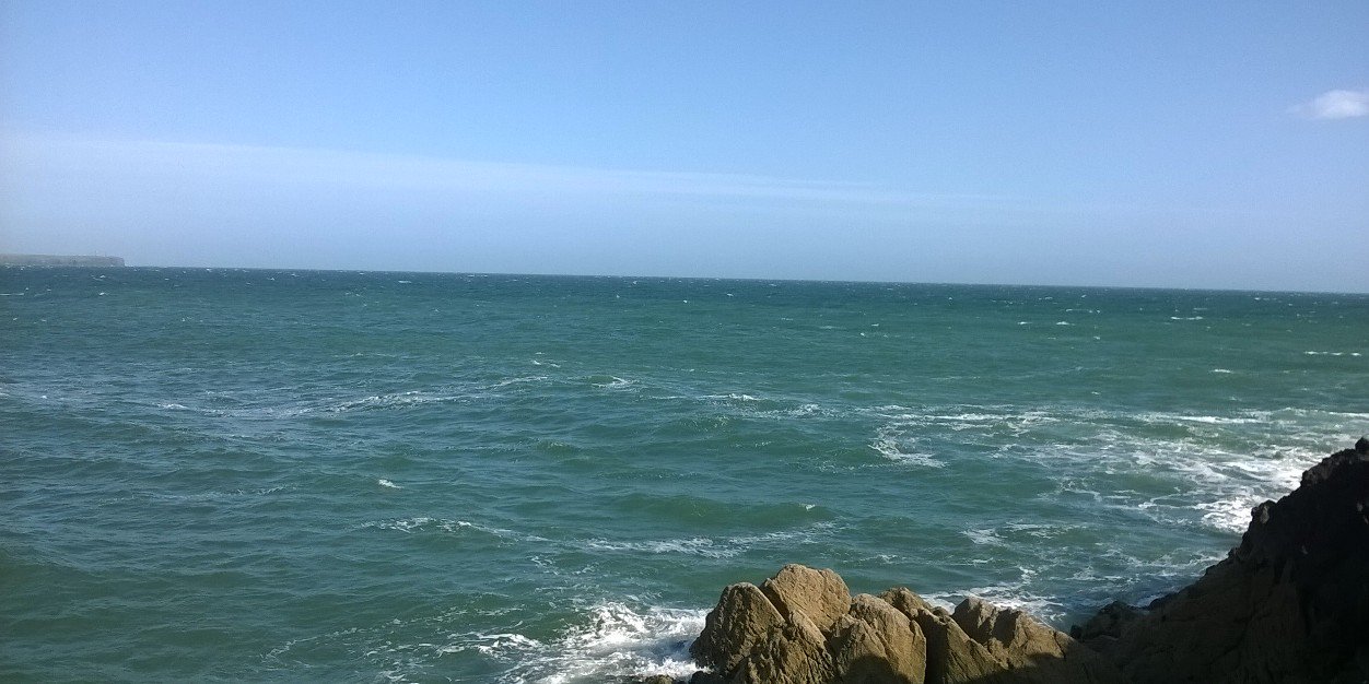 Catherine Donaghy banner