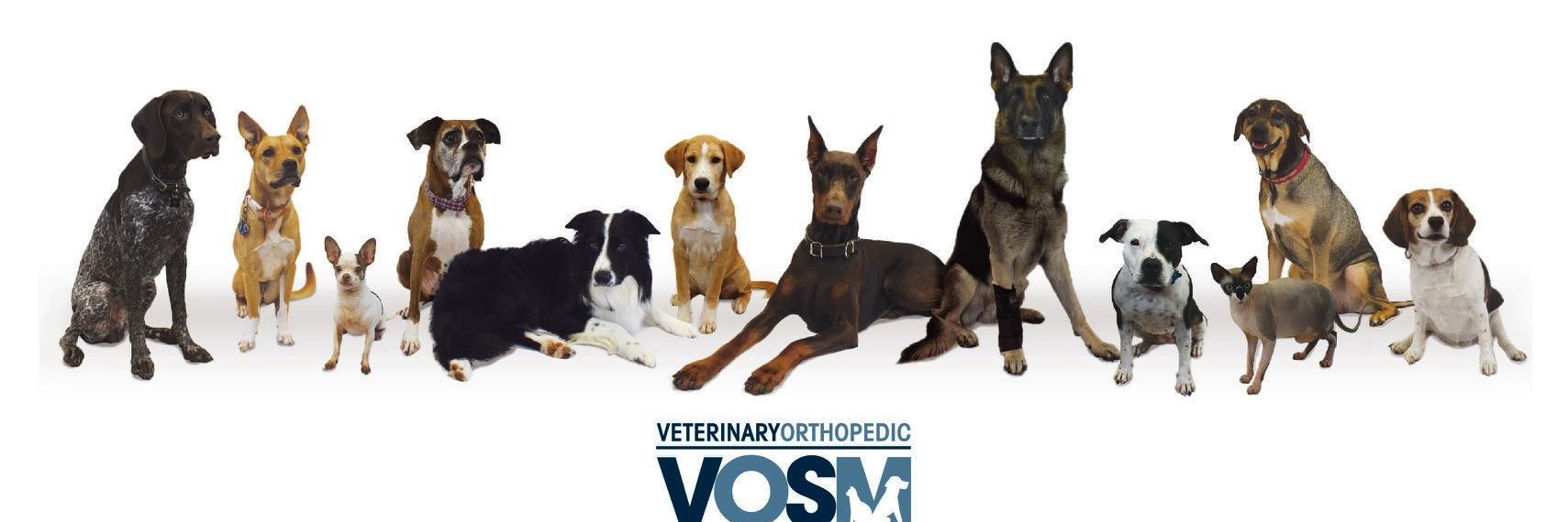 VOSM's profile banner image