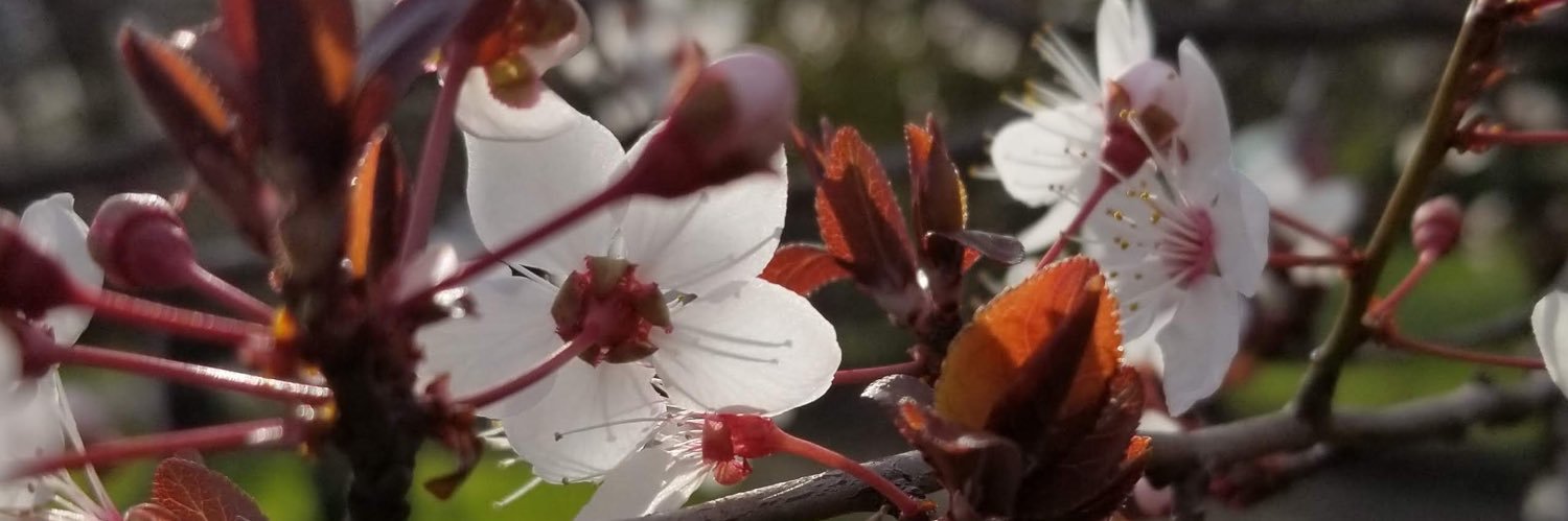 🌊🌎kkim🌏✊🏻 banner