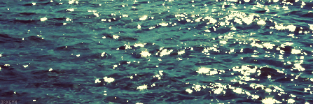 hate_everyday's profile banner image