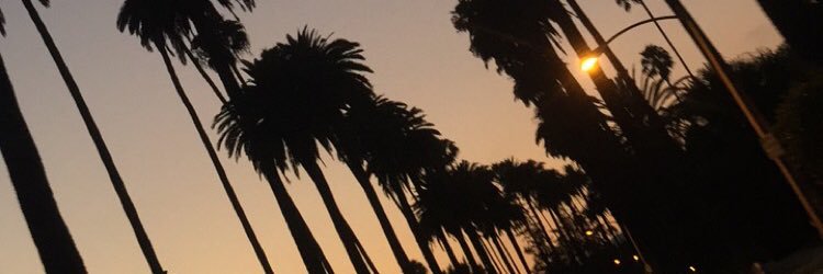 sara beth banner