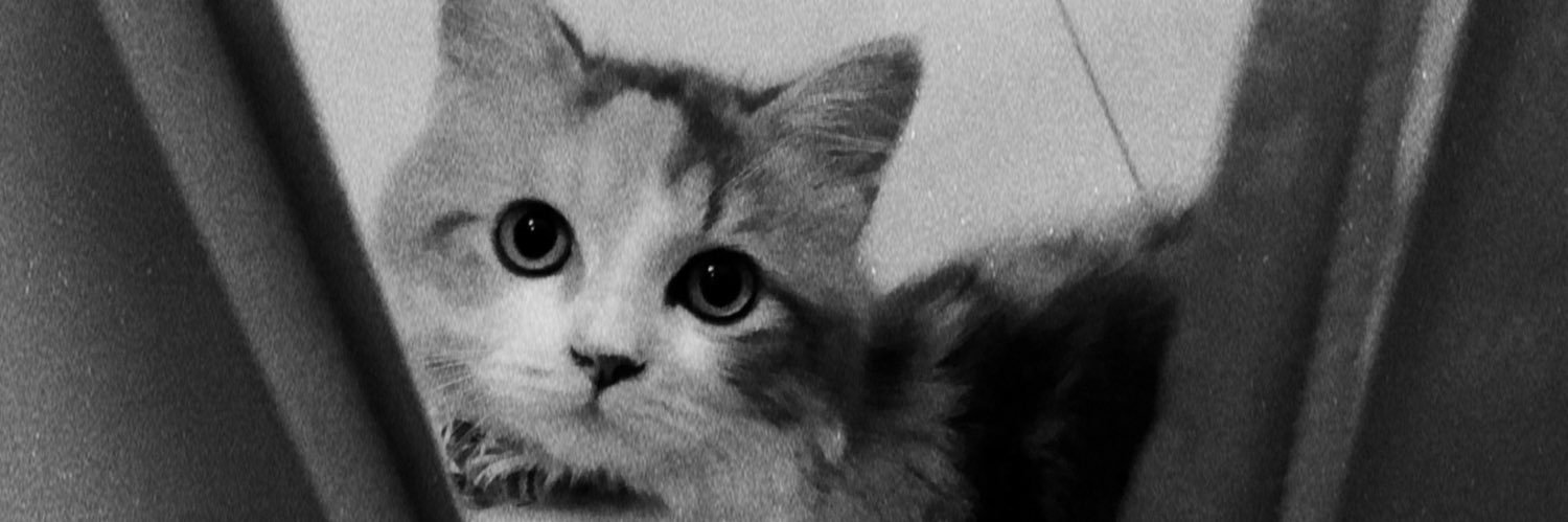 Azariaaaw's profile banner image