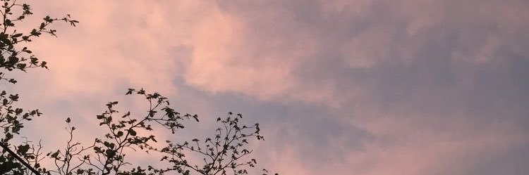 KUK_MS's profile banner image