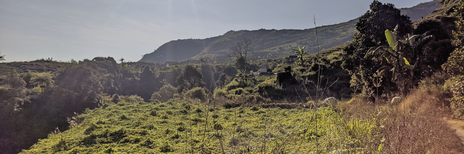 dankaupergi's profile banner image