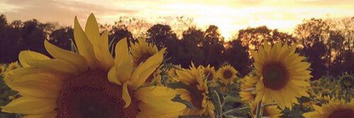 m_meeee's profile banner image