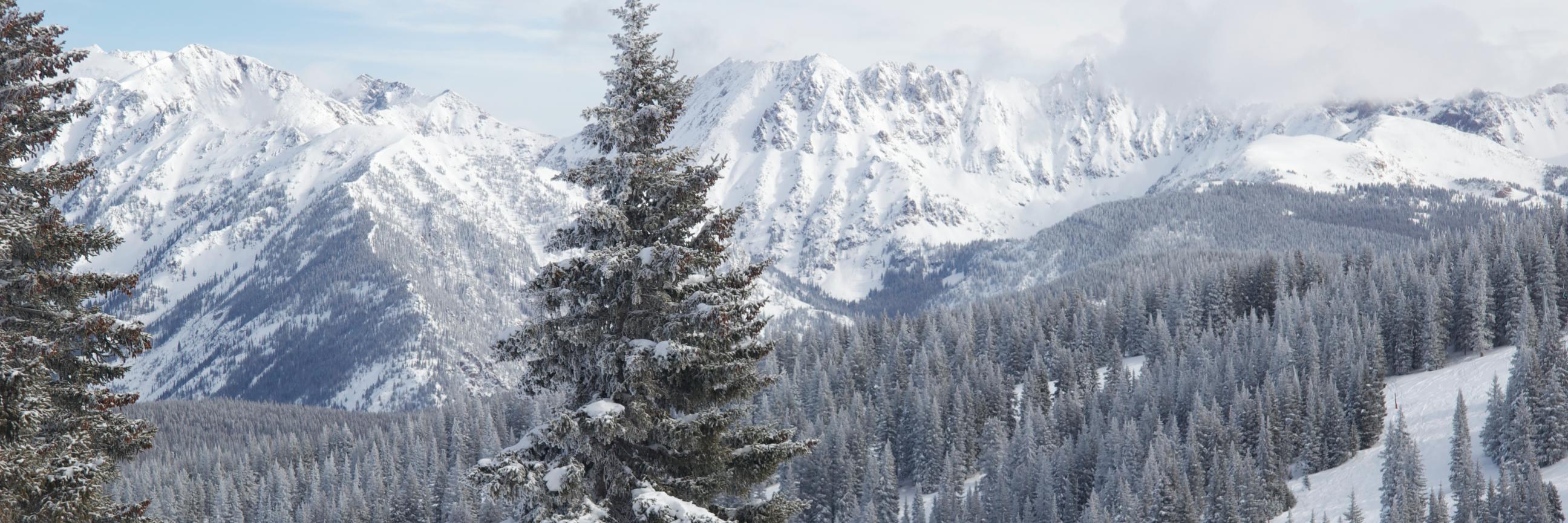 powpow's profile banner image
