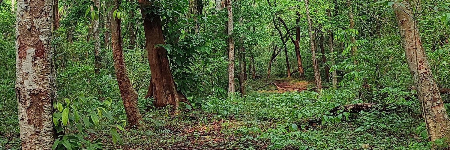rahulDROSH's profile banner image