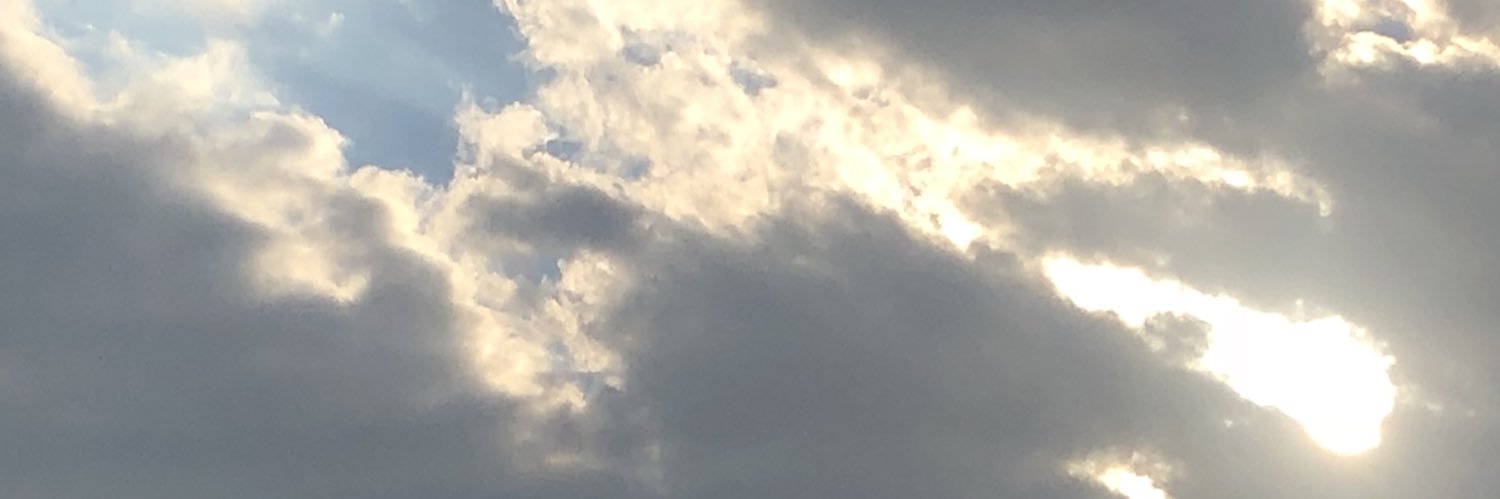 capstickqueer's profile banner image
