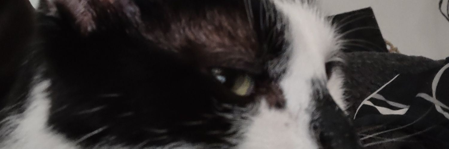 LotusKai banner