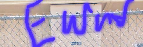 TheProjectSucks's profile banner image