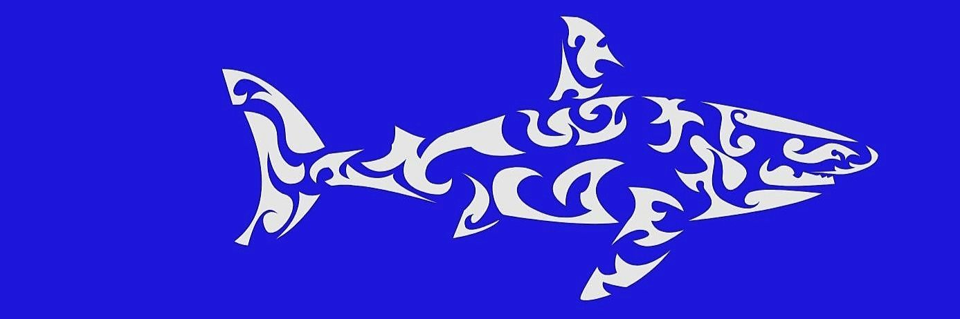 Ruslan Janghazy banner