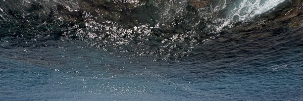 _wallstreetdev Profile Banner