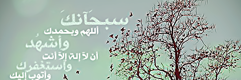 8lb_6aher's profile banner image