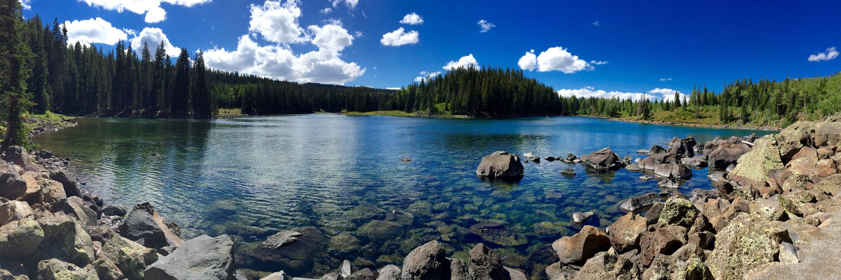 Erin McIntyre banner