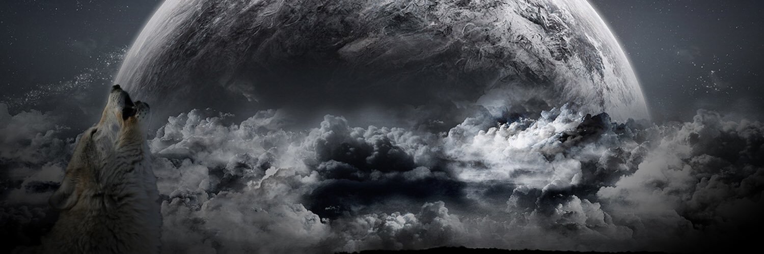 DRShadeaux's profile banner image