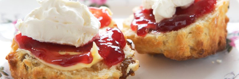 Wendy Paterson banner