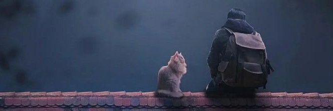 hasibshaikh_'s profile banner image