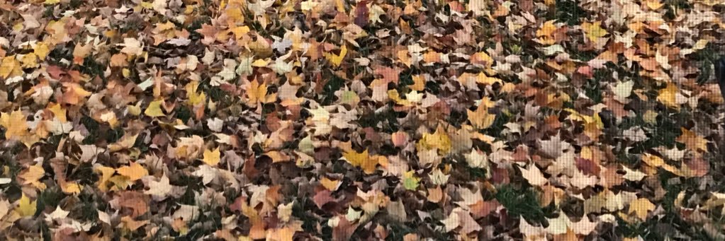 MLEswear's profile banner image