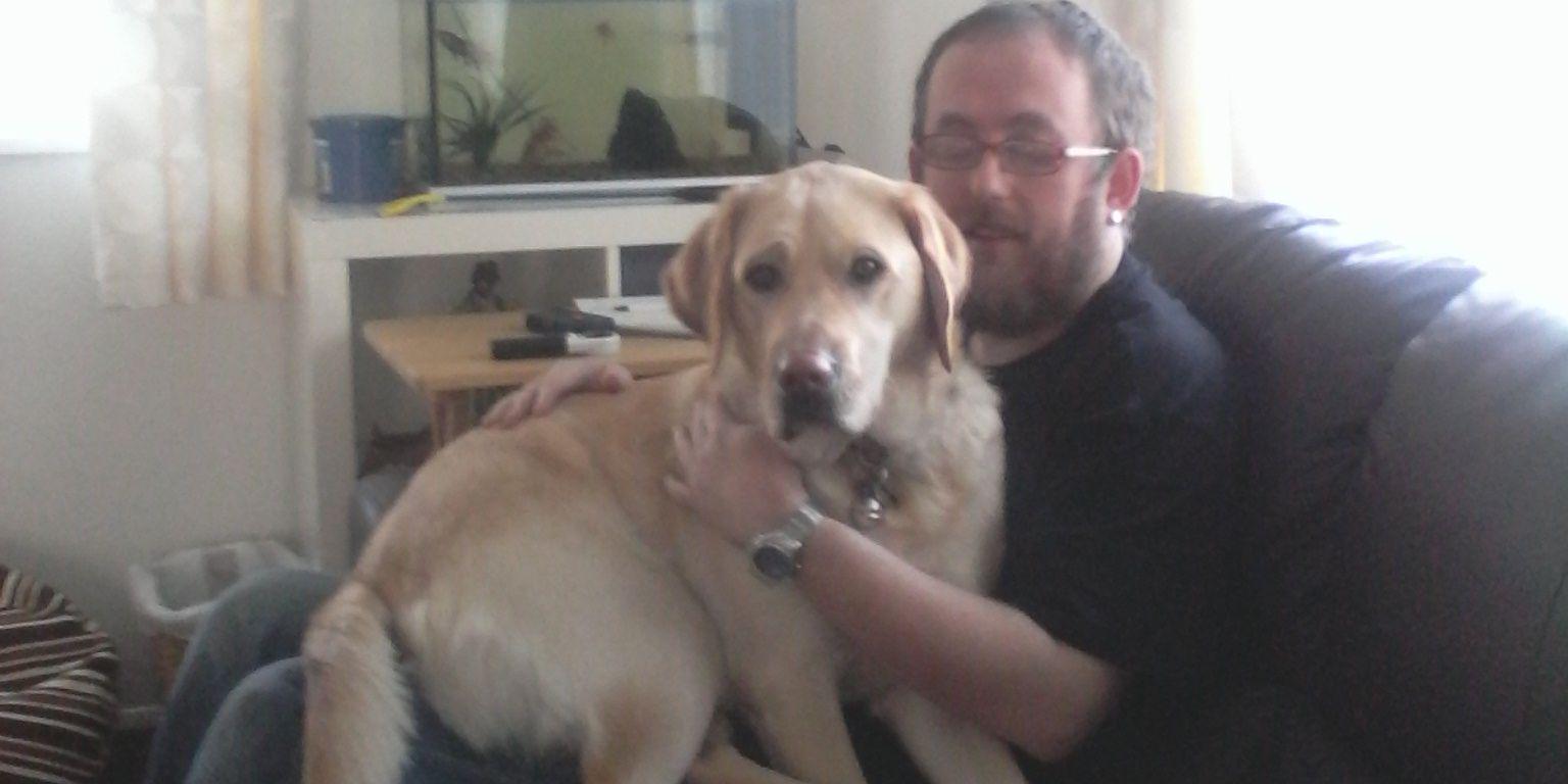 TheOnlyBruceDog's profile banner image