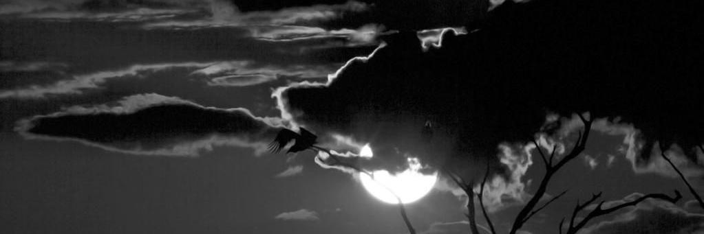 instant_rock's profile banner image